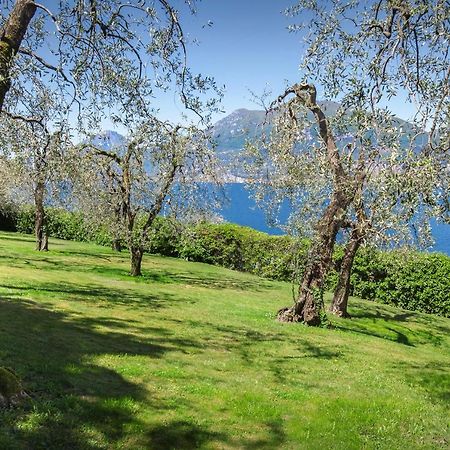 Villa Dismero-Un Oasi Di Lusso E Privacy Бренцоне сул Гарда Екстериор снимка