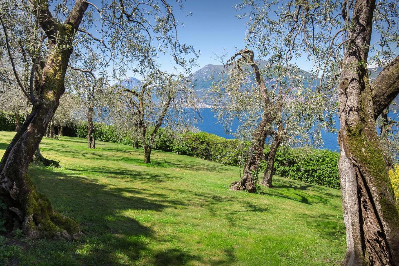 Villa Dismero-Un Oasi Di Lusso E Privacy Бренцоне сул Гарда Екстериор снимка